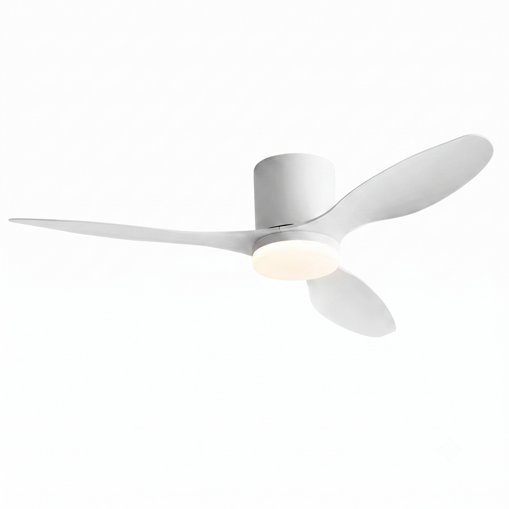 Ventilateur de Plafond Dals | Ariaze