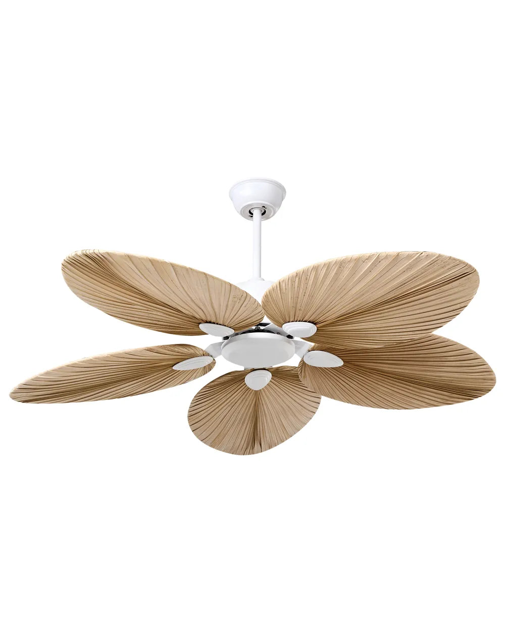 Profil du ventilateur de plafond silencieux en bois naturel LOMBOK par Ariaze.