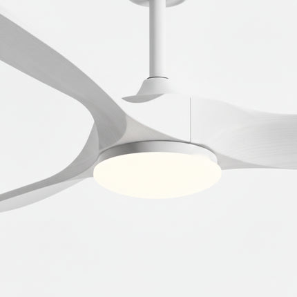 Ventilateur de plafond Ariaze 