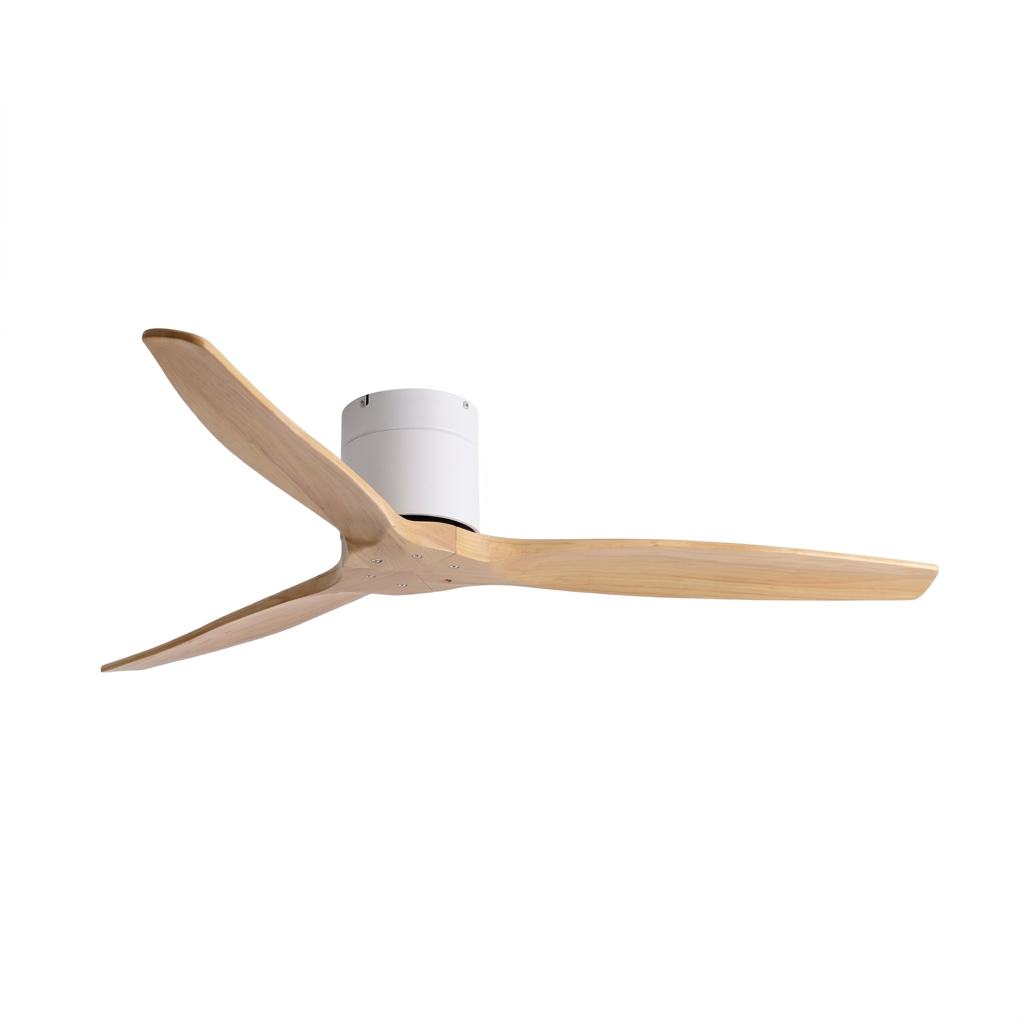 Ventilateur de Plafond Broen | Ariaze