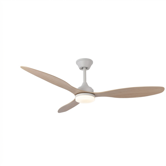 Ventilateur de plafond Luma moteur DC télécommande - Ariaze