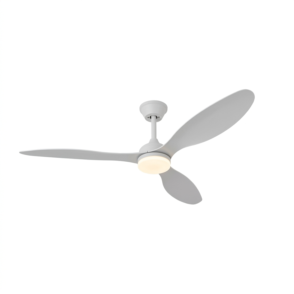 Ventilateur de Plafond Luma | Ariaze